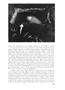 Page: - 13 | Aperture