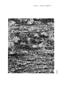 Page: - 113 | Aperture