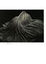 Page: - 20 | Aperture