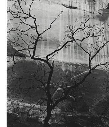 Fall 1959 | Aperture