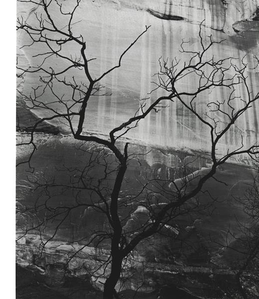 Issue: - Fall 1959 | Aperture