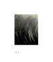 Page: - 38 | Aperture