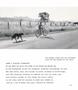 Page: - 136 | Aperture