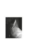 Page: - 184 | Aperture