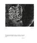 Page: - 196 | Aperture