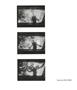 Page: - 16 | Aperture
