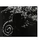 Page: - 24 | Aperture