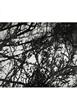 Page: - 27 | Aperture