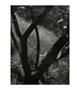Page: - 35 | Aperture