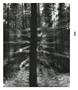 Page: - 53 | Aperture
