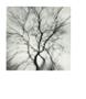 Page: - 58 | Aperture