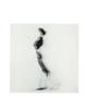 Page: - 70 | Aperture