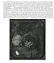 Page: - 88 | Aperture