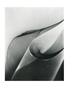 Page: - 10 | Aperture