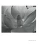 Page: - 143 | Aperture