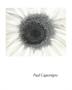 Aperture Spring 1967 Cover