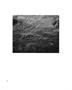 Page: - 29 | Aperture