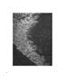 Page: - 39 | Aperture
