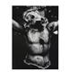 Page: - 46 | Aperture