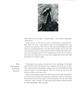 Page: - 41 | Aperture