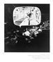 Page: - 100 | Aperture