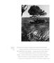 Page: - 16 | Aperture