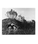 Page: - 21 | Aperture