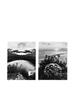 Page: - 47 | Aperture