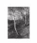 Page: - 28 | Aperture