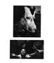 Page: - 33 | Aperture