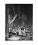 Page: - 37 | Aperture