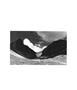 Page: - 67 | Aperture