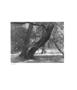 Page: - 49 | Aperture