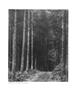Page: - 77 | Aperture