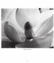 Page: - 14 | Aperture