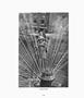 Page: - 76 | Aperture