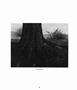 Page: - 82 | Aperture