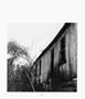 Page: - 113 | Aperture
