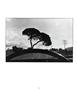 Page: - 38 | Aperture