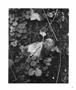 Page: - 51 | Aperture