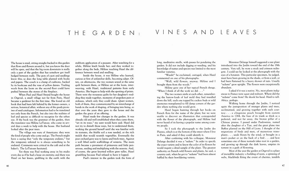 The Garden: Vines And Leaves