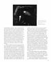 Page: - 45 | Aperture