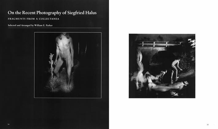 On The Recent Photography Of Siegfried Halus