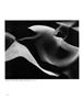 Page: - 28 | Aperture