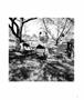 Page: - 51 | Aperture