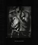 Page: - 73 | Aperture