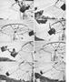 Page: - 64 | Aperture