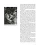 Page: - 31 | Aperture