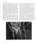 Page: - 42 | Aperture