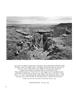 Page: - 46 | Aperture